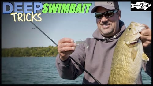 Zona's Dirty Little Finesse Swimbait Secret