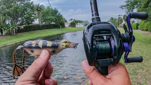 Absurd Duck Fishing Lure Challenge - Is This Lure Worth Buying?