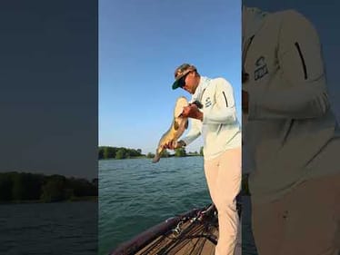 Bowfin - Trash Or Badass?