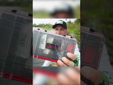 You NEED to know this CHATTERBAIT Mod