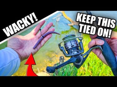 Are YOUR Trips Like THIS? (Wacky Rig Bank Fishing)