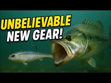 You Won’t Believe These NEW Bass Fishing Rigs and Baits