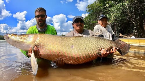 IT’S a TRUE MONSTER FISH!! (200 + LBS)