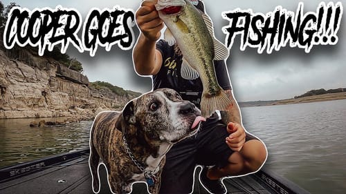 I Took My Best Friend Fishing For The First Time Since He Almost Died And He Licked All The Fish.