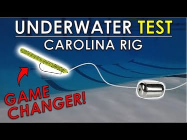 Best Baits and Leader Length For Carolina Rigs Offshore | Underwater Bass Fishing Lure Test