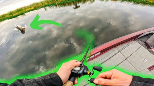 I Should NOT Have Caught This Fish!! Fishing Deep In Florida