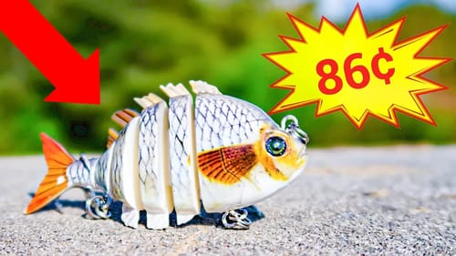World's CHEAPEST Fishing SWIMBAIT (WISH APP)