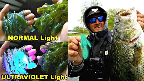 Do "UV" Fishing Lures ACTUALLY WORK??? (SURPRISING RESULTS!!)