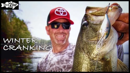 The Basics of Fishing Shad Raps for Winter Bass