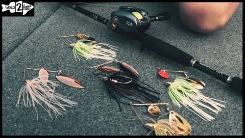 How to Power Fish Spinnerbaits for River Bass