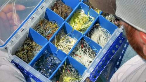 4 Chatterbait Colors You Need to Have