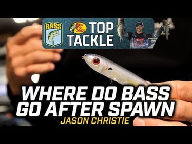 How to catch bass that just left the bed