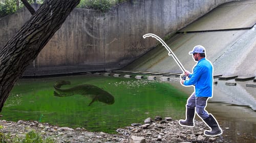 I Caught The KING of the SPILLWAY!!! (New PB!)