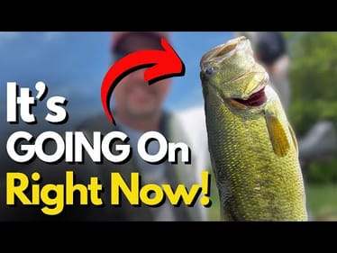 Don't MISS This Late Summer Pattern For Bass (Easier Than You Think)