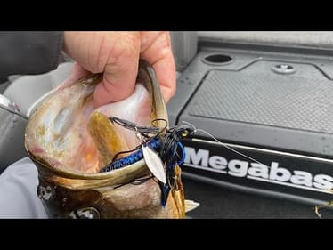 The Reality Of Using Scents On Your Lures