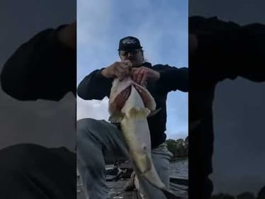 My Biggest Catches Ever!