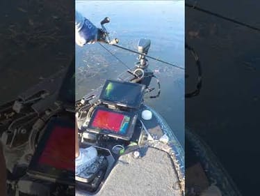 New Garmin Force Hack: Grass GONE in Seconds!!!