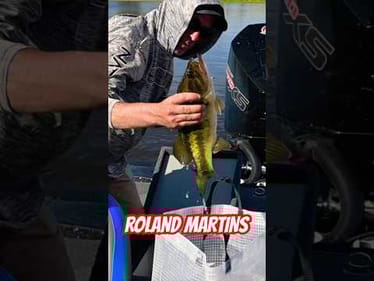 Toyota Series MLF Lake Okeechobee Weigh-in!! #short #bassfishing #okeechobee