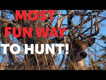 We Rattled in a GIANT!!!