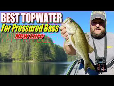 The BEST topwater bait to catch pressured bass!