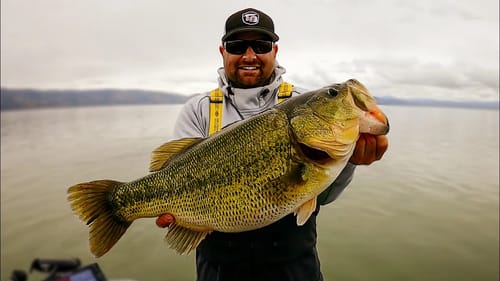 Raw Fishing Footage on Clearlake! Giant Bass Caught!! Spring Bass Fishing!