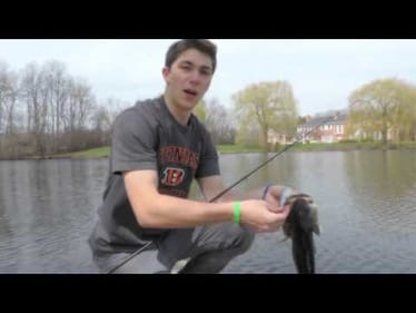 Spring Slaunch Montage with Optimum Baits