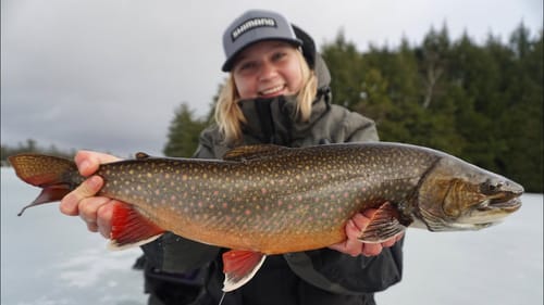 Ice Fishing SPLAKE - Most Beautiful Fish in Ontario!