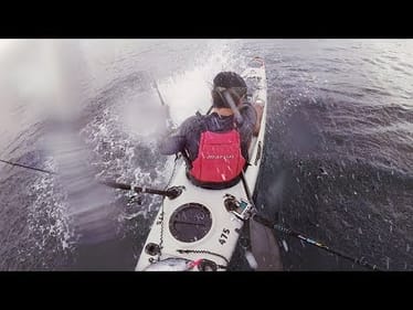 Fishing & Nice Persons Club