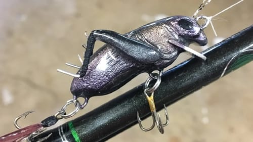 Making a Cricket Lure