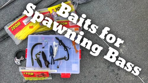 Baits for Bass Fishing During the Spawn - Tackle Tuesday