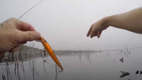 Bass Fishing Creek Drains with Jerkbaits and Jigs