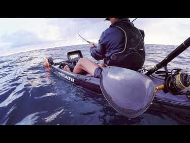1 Meter Fish Swallowed Whole!