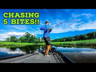 AFTERNOON Bass TOURNAMENT During BRUTAL Summer Conditions || River Fishing