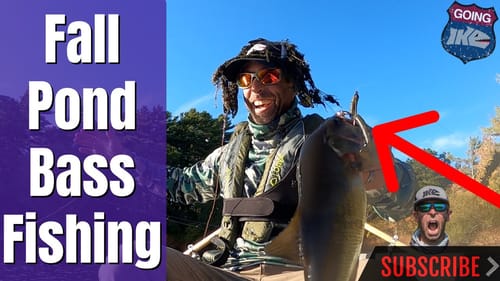 Fall Pond Fishing for Bass!!