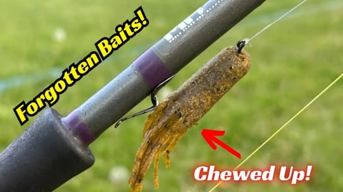 Is This The MOST Forgotten Bait? It Will Out Fish So Many Other Lures!