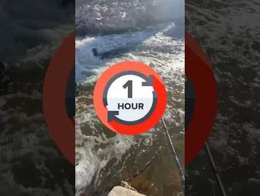 Can We Catch A Fish From This Creek In Just 1 HOUR!? #fishing #fishingvideos