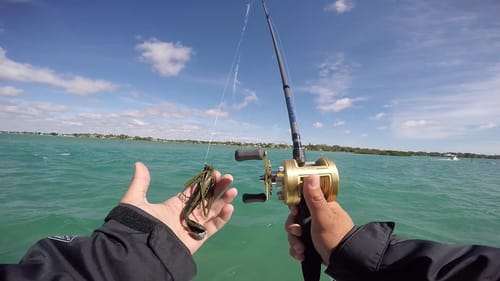 Bass Jigs in Saltwater