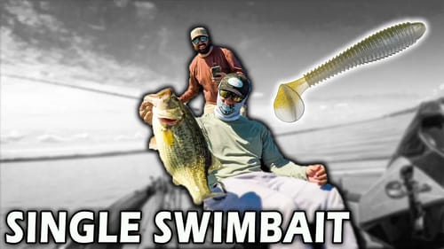SINGLE SWIMBAIT Setups (Spinning VS Casting)