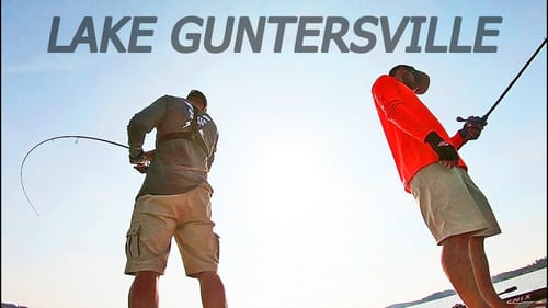 Catching Bass On LAKE GUNTERSVILLE with Justin Lucas!