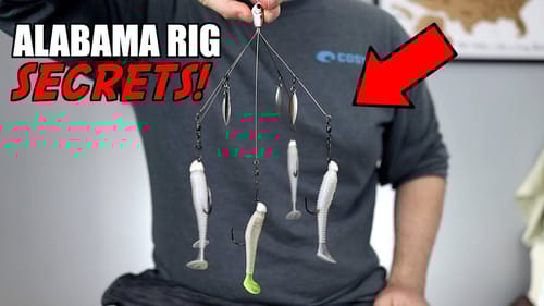 DOUBLE Your Bites on the Alabama Rig By Doing THIS!