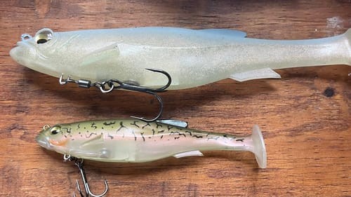 The No. 1 Reason Most Anglers Have Never Caught A Big Swimbait Bass
