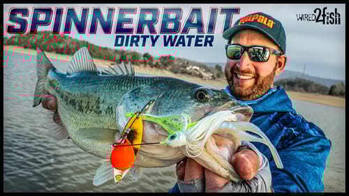 Catch More Spinnerbait Bass | Ott’s 5 Warming Trend Tips
