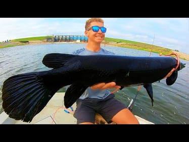 This fish is 1 in a MILLION!