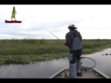 D&M Custom Baits Punching Extravaganza