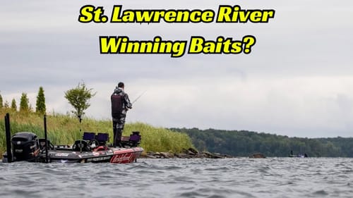 Will These Be The Winning Baits At The MLF BPT Event on The St. Lawrence River?