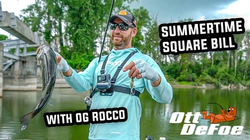 Summertime Square Bill