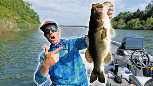 Topwater BLOW UPS! & Sneaky Sight Fishing Tips