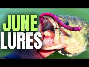JUNE Lures Big BASS Can't Resist