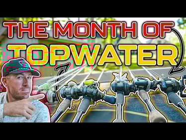 TOP BAITS of the MONTH ( October 2025 Edition 4K )