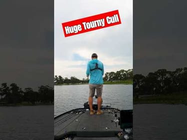 TOURNAMENT Cull FAIL